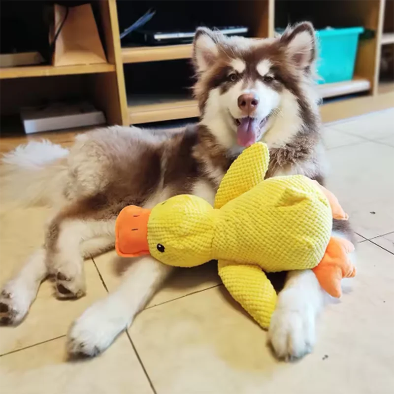 Interactief Eendenspeeltje voor Honden