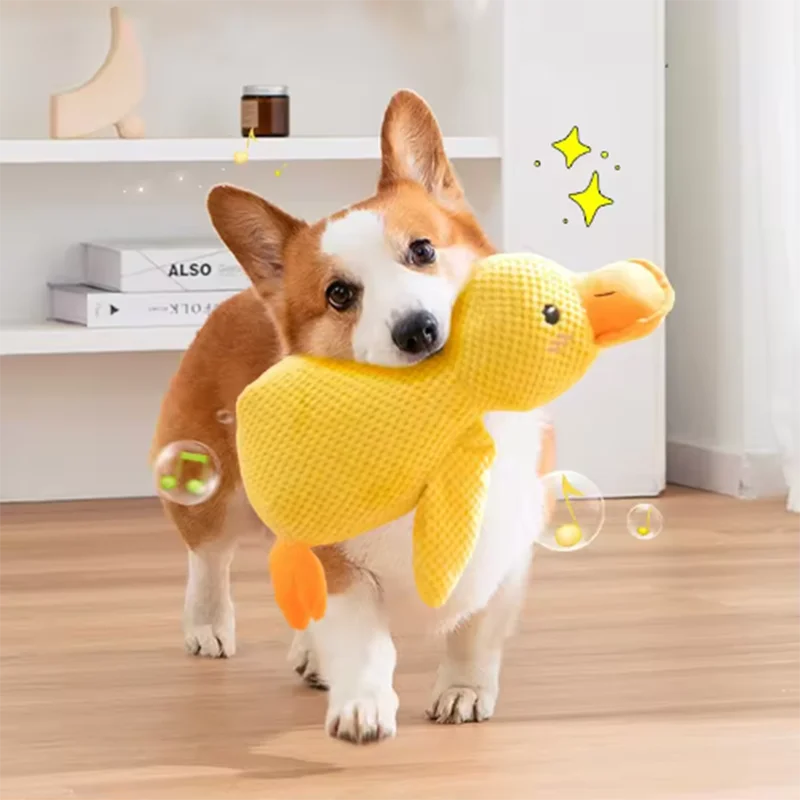 Interactief Eendenspeeltje voor Honden