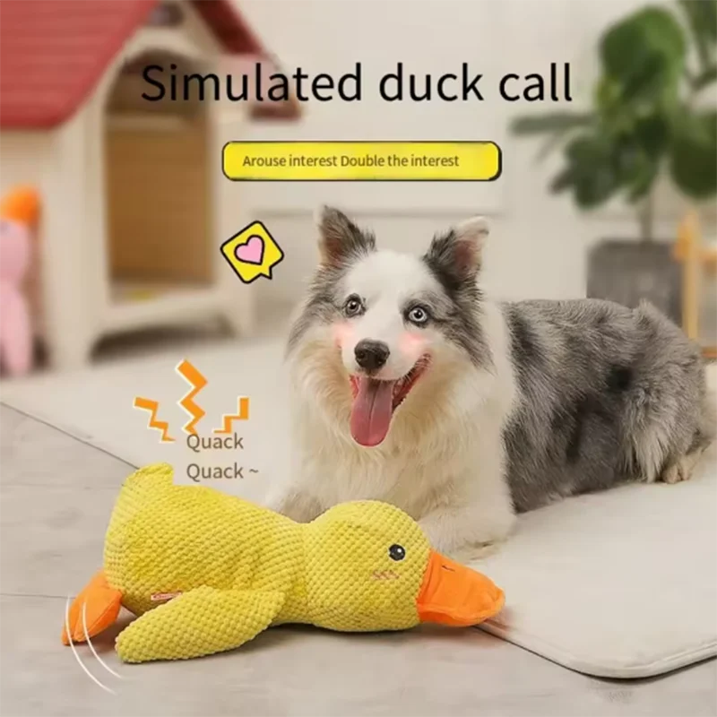 Interactief Eendenspeeltje voor Honden