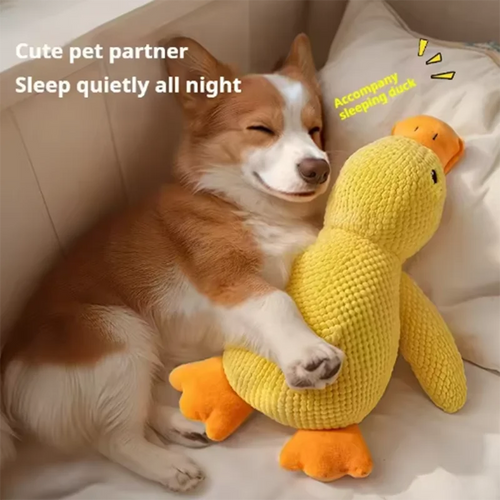 Interactief Eendenspeeltje voor Honden