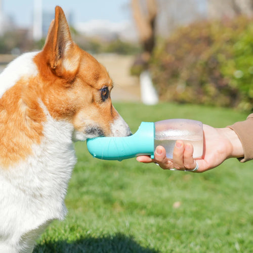 Draagbare Drinkfles voor Honden – 300 ml