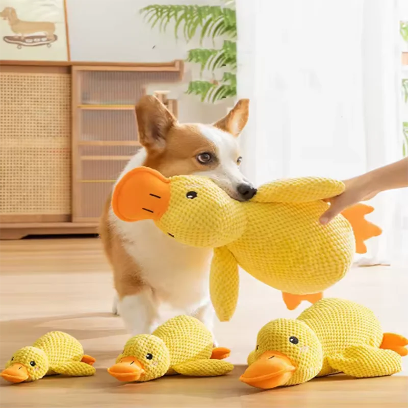 Interactief Eendenspeeltje voor Honden